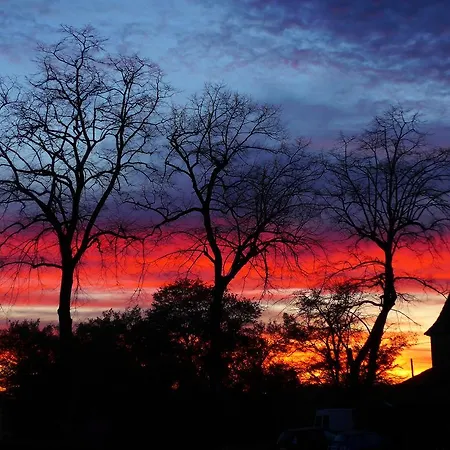 Chateau Rouge 47 לינה וארוחת בוקר Sainte-Bazeille