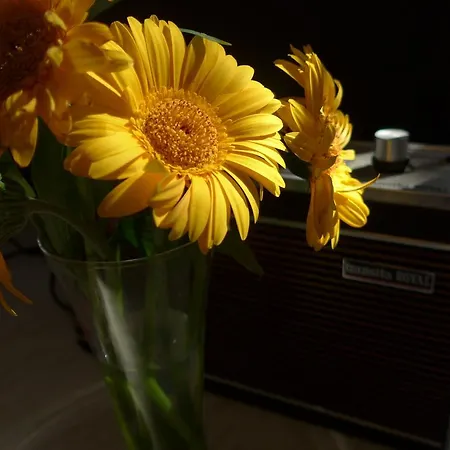 Chateau Rouge 47 * Sainte-Bazeille