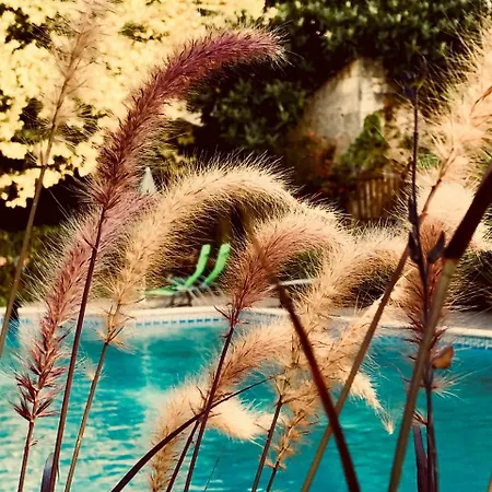 Chateau Rouge 47 Bed and Breakfast *