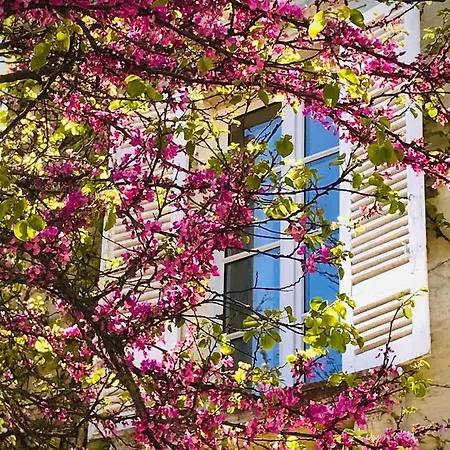 Bed and Breakfast Chateau Rouge 47