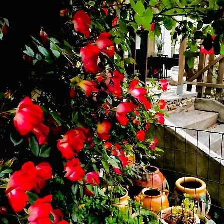 Chateau Rouge 47 Bed and Breakfast Sainte-Bazeille