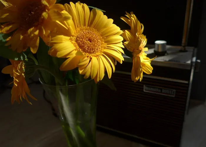 Chateau Rouge 47 * Sainte-Bazeille