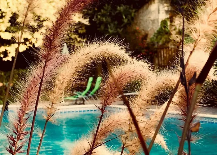 Chateau Rouge 47 Bed & Breakfast *