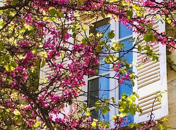 Bed & Breakfast Chateau Rouge 47