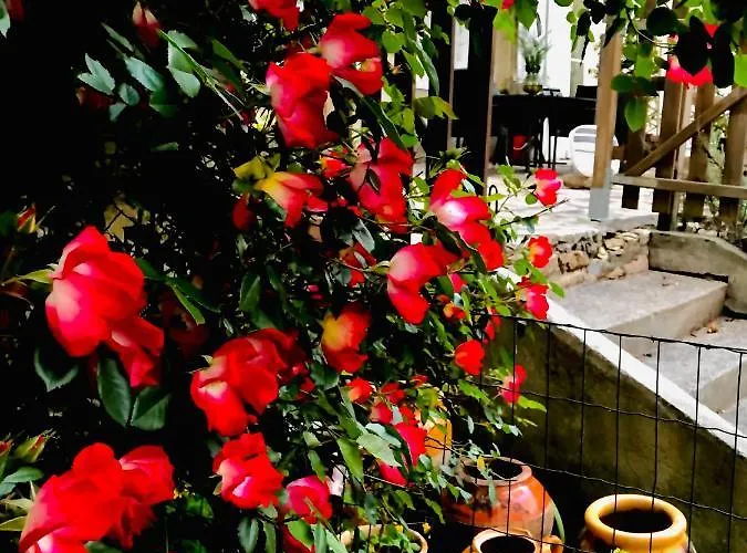 Chateau Rouge 47 Bed & Breakfast Sainte-Bazeille